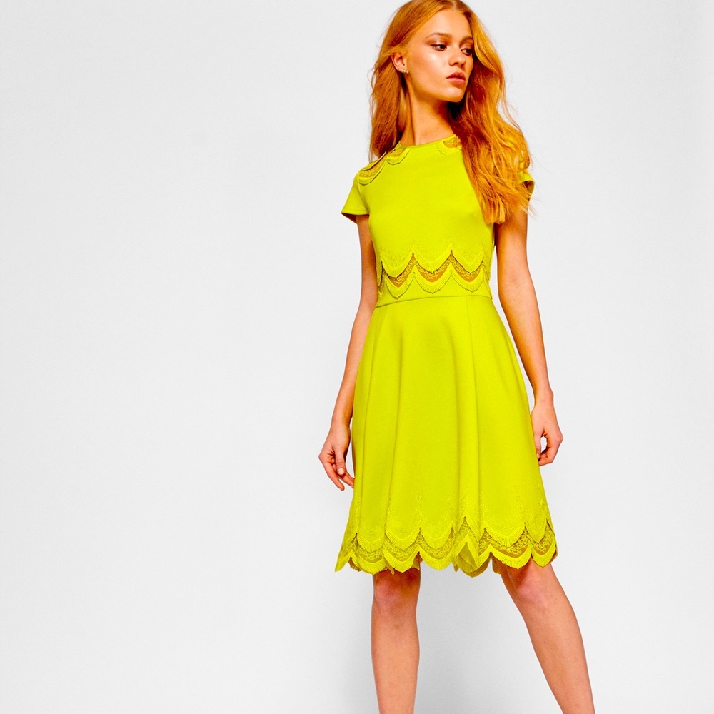 Ted Baker London | Green Rehanna Embroidered Skater Dress